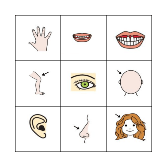 Körperteile Bingo Card