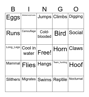 Animals Bingo Card