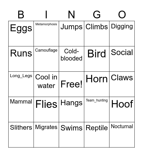 Animals Bingo Card