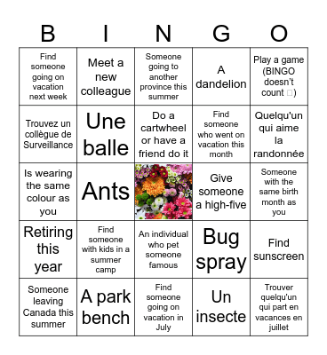 NPSW BINGO de la SNFP Bingo Card