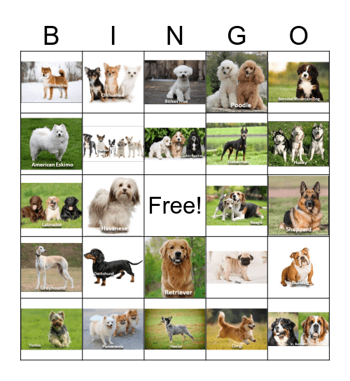 Dogs Bingo Card