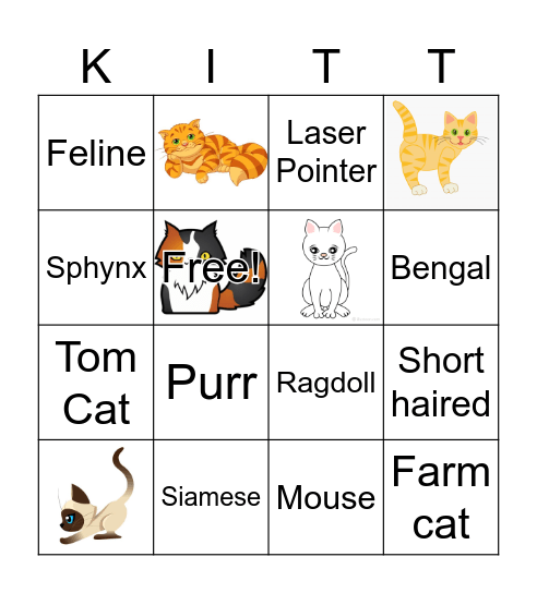 Cat Bingo Card