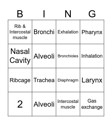 Respiratory System Bingo Card