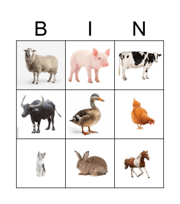 ANIMALS Bingo Card