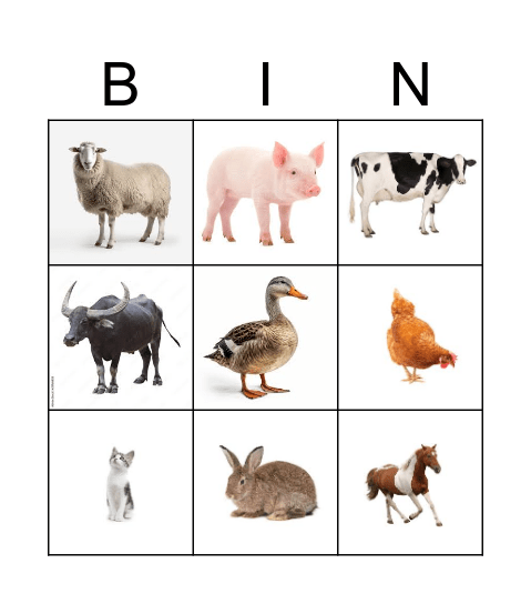 ANIMALS Bingo Card