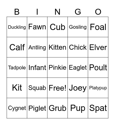 Amie’s Baby Shower Bingo Card