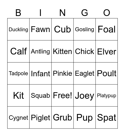 Amie’s Baby Shower Bingo Card