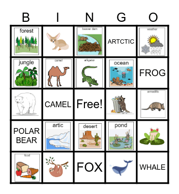 Habitats Bingo Card