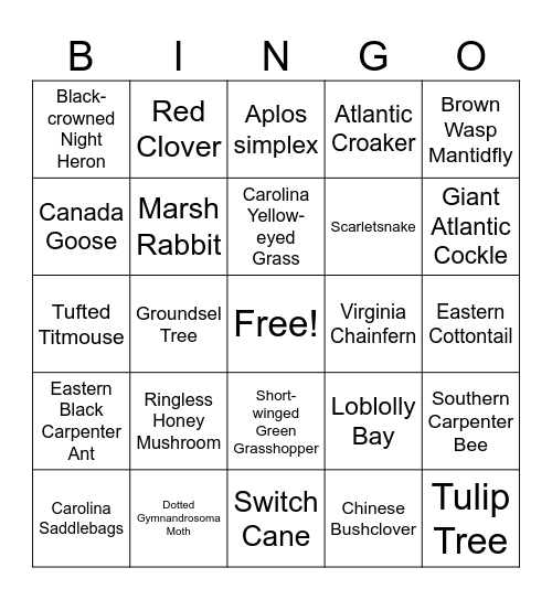 inat bingo june Bingo Card