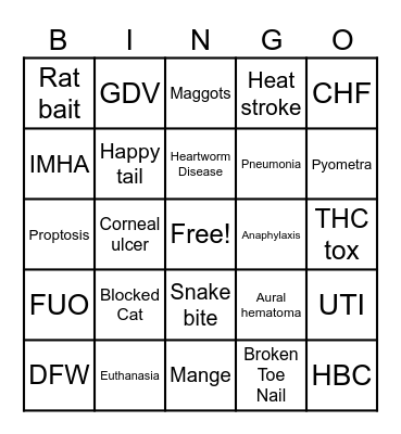 Veterinary Bingo Card