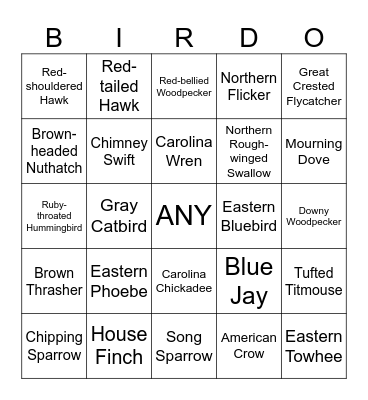 Bird Bingo Card
