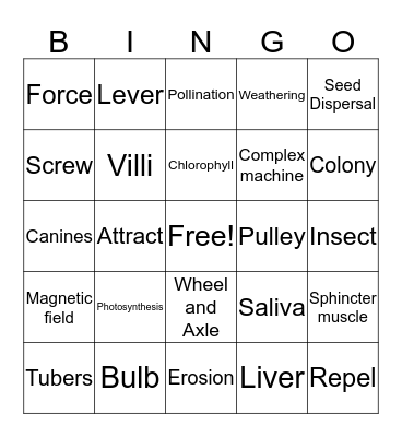 End of the Year Science Bingo Card