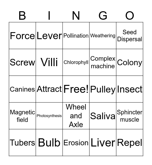 End of the Year Science Bingo Card