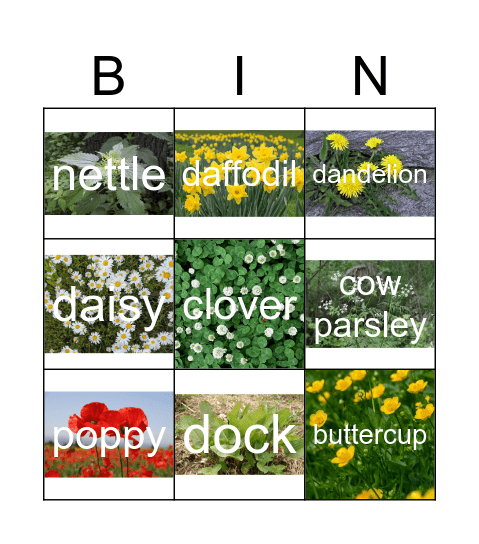 Bingo- easy Bingo Card