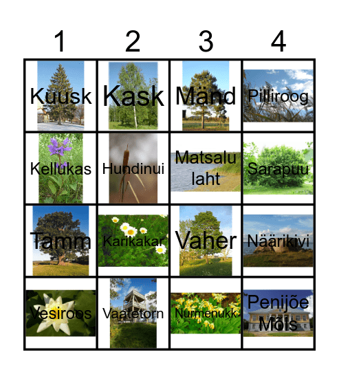 Penijõe rahnuspark Bingo Card