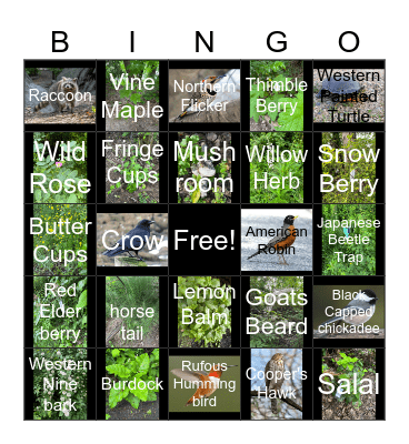 Native Plants and Wildlife - Whitaker Ponds Bingo Card