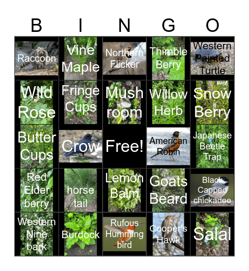 Native Plants and Wildlife - Whitaker Ponds Bingo Card