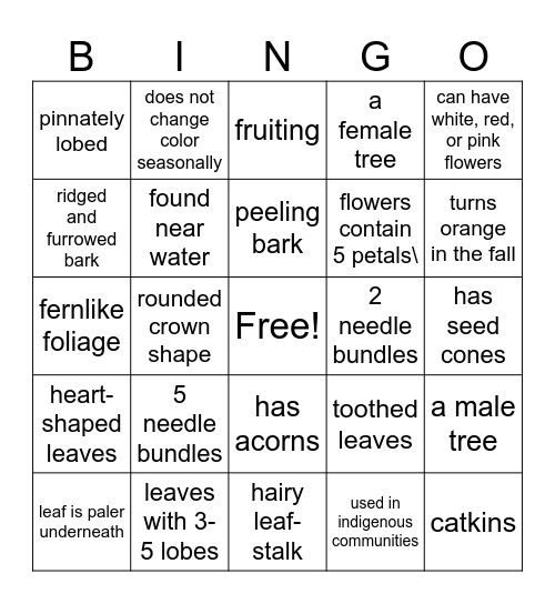 Tree Scavenger Bingo Card