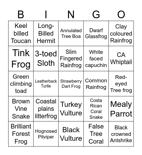 Kekoldi Bingo Card