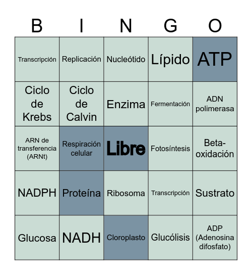 Bioquímica Bingo Card