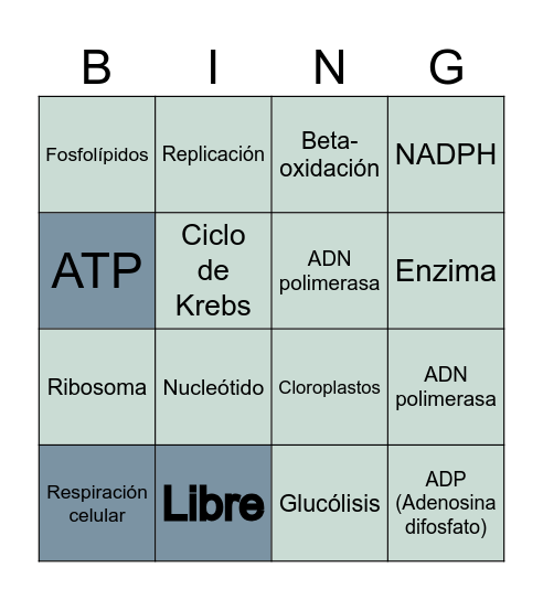 Bioquímica Bingo Card