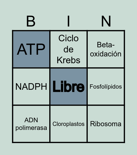Bioquímica Bingo Card