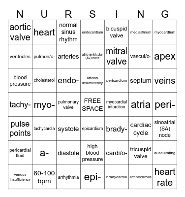 Chapter 13 (MTF) Cardiovascular System Bingo Card