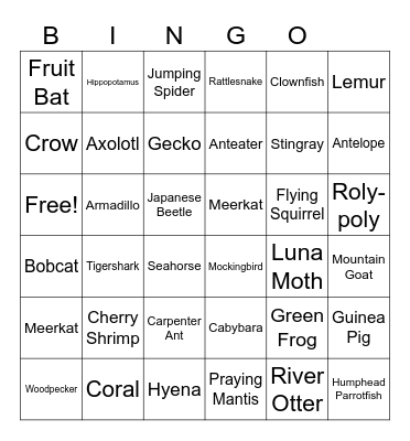 Animals Bingo Card