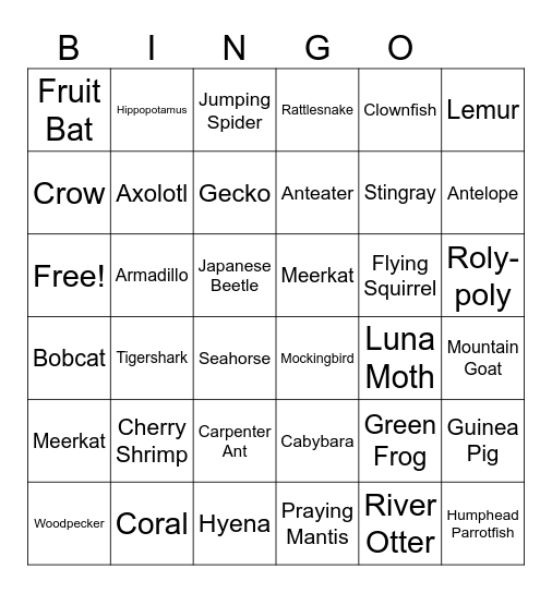 Animals Bingo Card