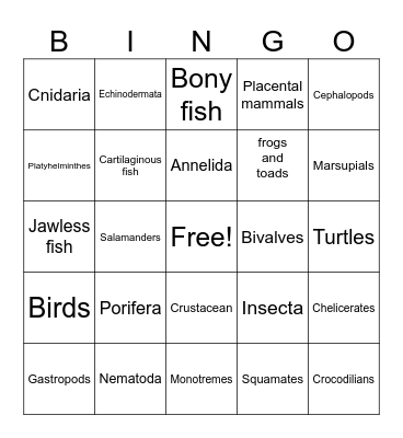 Animal Phylum Bingo Card