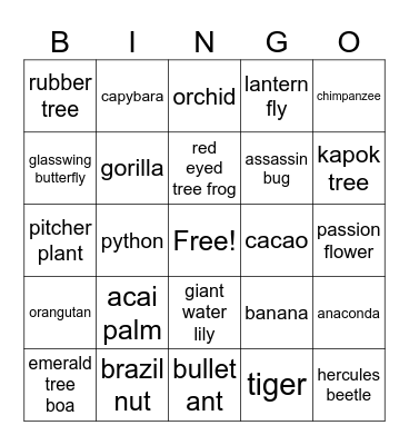 Ecology Bingo Card