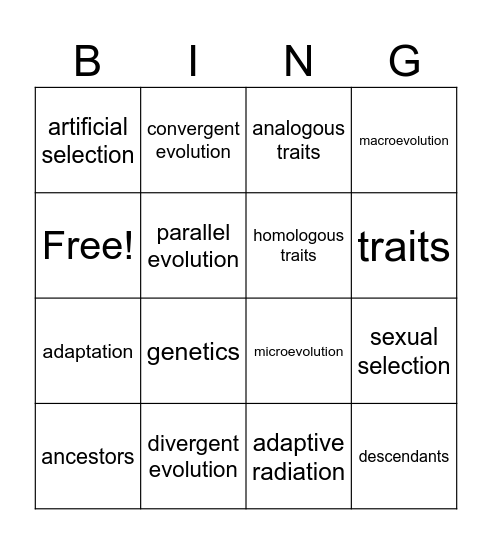 Types of Evolution Bingo Card