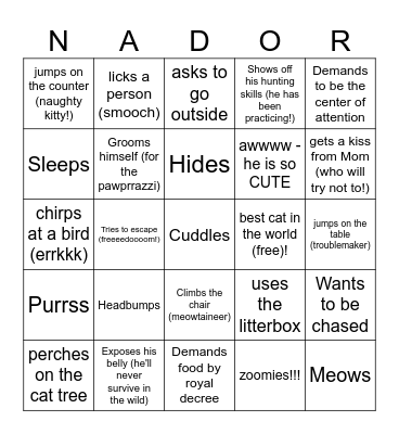 NANDOR Bingo Card