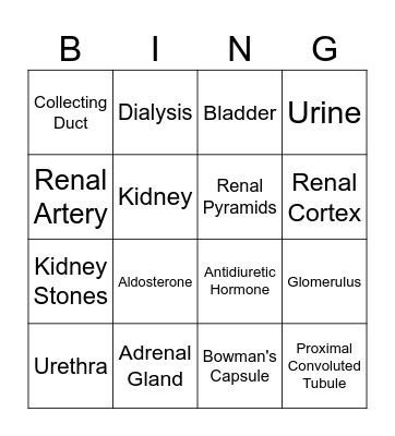 Urinary System Bingo Card
