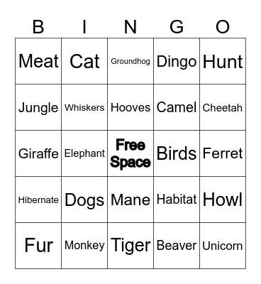 1 Bingo Card