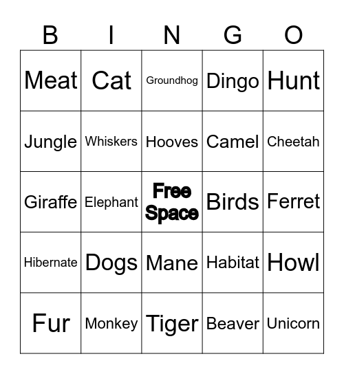 1 Bingo Card