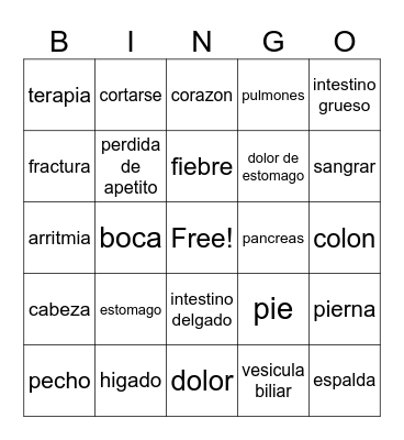 Spanish Terms Bingo Card