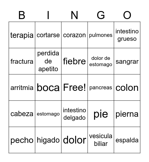 Spanish Terms Bingo Card