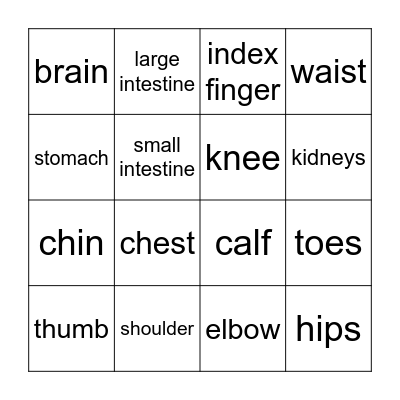 Human Body Bingo Card