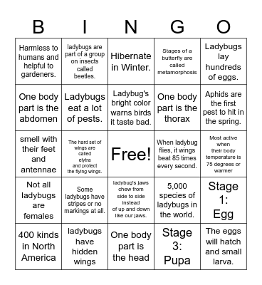 Ladybug Facts BINGO Card