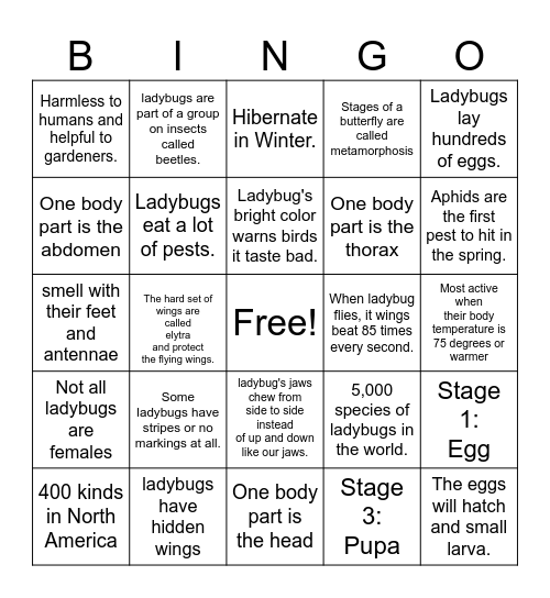 Ladybug Facts BINGO Card