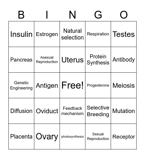 Review Bingo Card