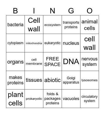 Cell Structures Bingo Card