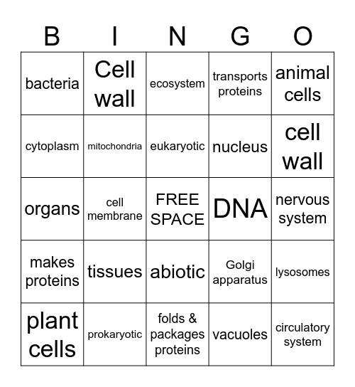 Cell Structures Bingo Card