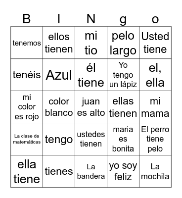 Presente del verbo TENER Bingo Card