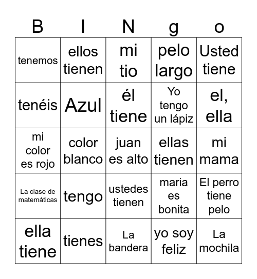 Presente del verbo TENER Bingo Card