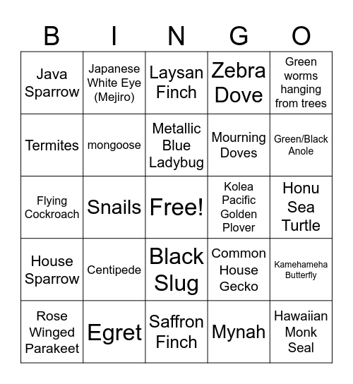 Hawaii Birds, bugs, etc Bingo Card