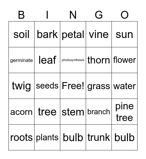 Trees and plants Bingo Card