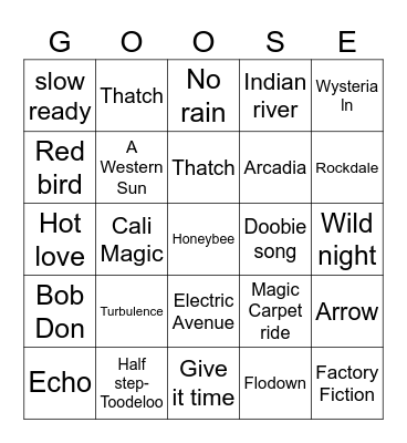 Goose Tour 2024 Bingo Card