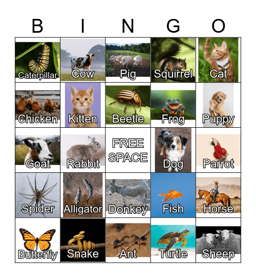 Animals Bingo Card